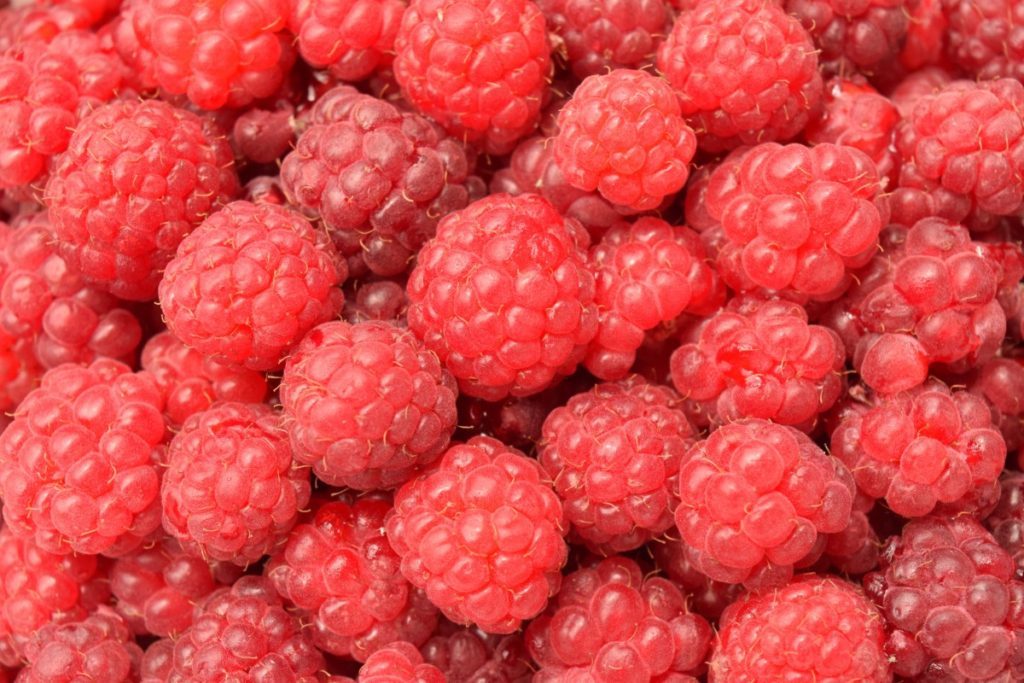 raspberries_close_background_fruit_red_sweet_delicious_healthy